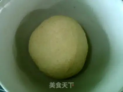 Make Polish yeast step 11