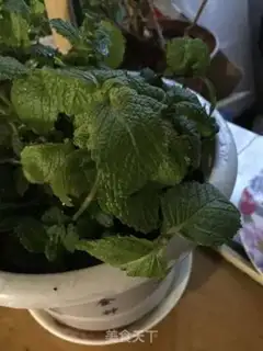 Make Lemon mint tea step 0