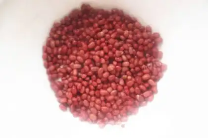 Make Bean pea yellow step 13