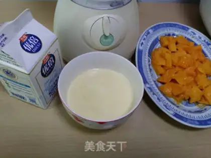 Make Nutrient milkshake step 4