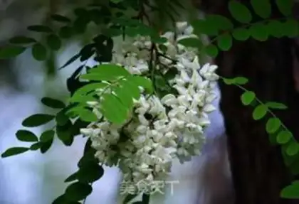 Make Steam tree flowers step 0