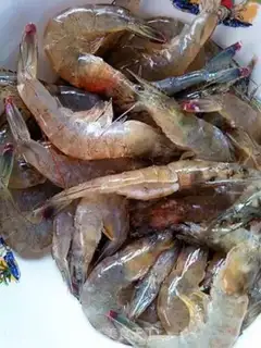 Make Socked shrimp step 1