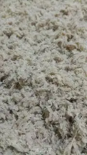 Make Homemade pork pine step 5