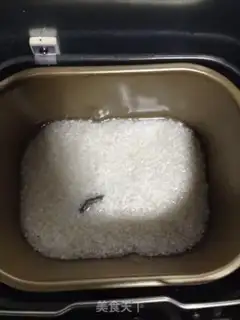 Make Bread machine rice mammoth step 0