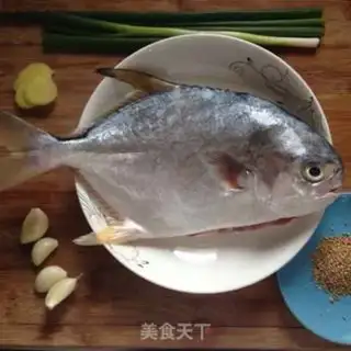 Make The gillfish step 0