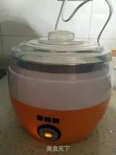 Make Homemade yogurt step 4