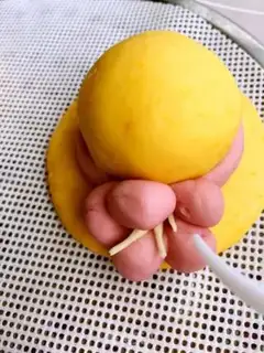 Make Fancy buns step 18