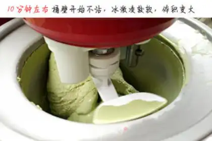 Make Tea ice cream step 16