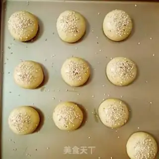 Make Robo-snake step 13