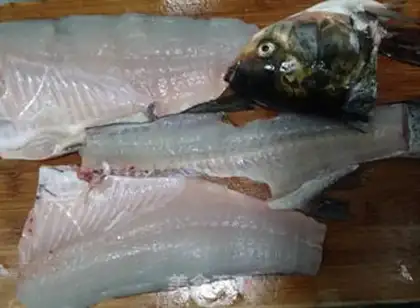 Make Sourfish step 2
