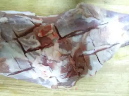 Make Roast leg step 1
