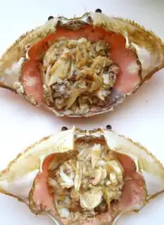 Make Frou Krab Doo step 5