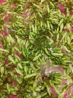 Make Night orchid soup step 0