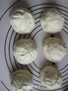 Make Slurpkey step 17