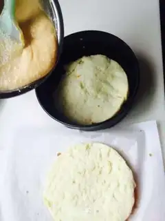 Make Mango Moose step 9