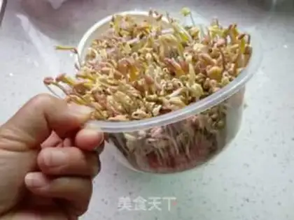 Make Auto green bean sprouts step 5