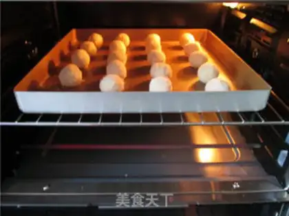 Make Protein coconut ball step 7