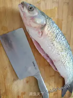 Make A beer fish step 0