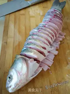 Make A beer fish step 1