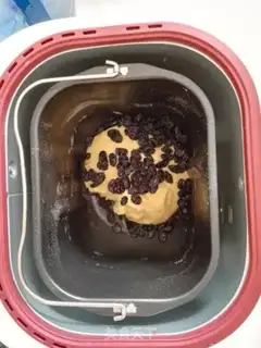 Make Carrot, black gallon toast step 13