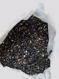 Make Black Sesame and Malamadre step 0