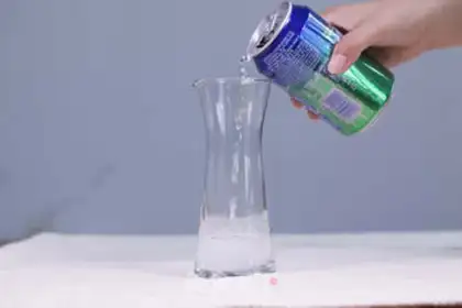 Make Shelby step 10