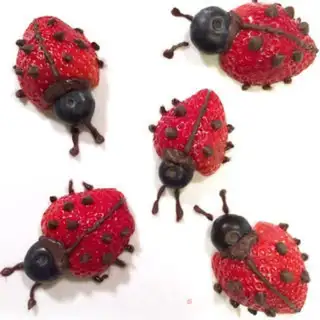 Make Strawberry chocolate ladybug step 3