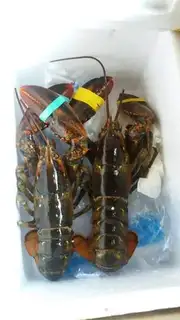 Make Creamed lobster step 0