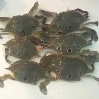 Make Spicy seafood step 0