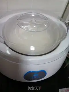 Make Homemade fruit yogurt step 5