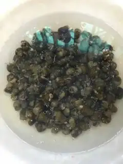 Make Fry screws step 0