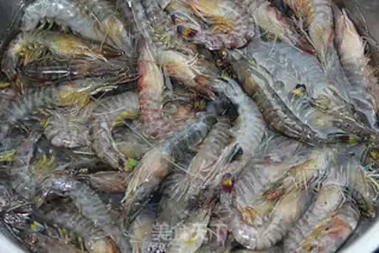 Make White burning shrimp step 0