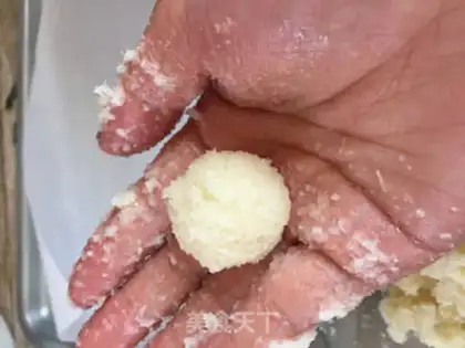 Make Protein coconut ball step 4