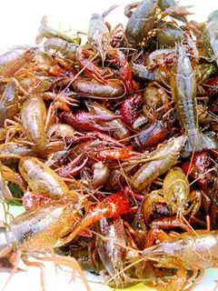 Make Spicy lobster step 0