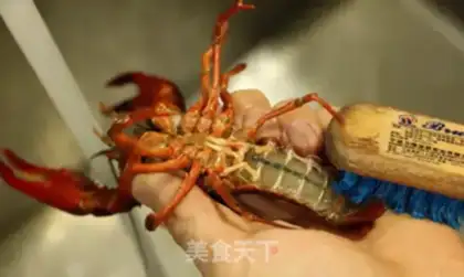 Make Delicious spicy lobster step 0