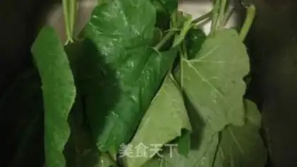 Make Clear the pumpkin leaves step 0