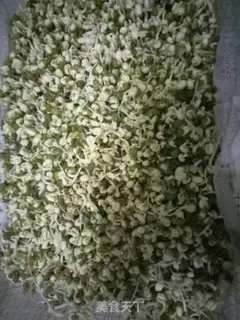 Make Auto green bean sprouts step 1