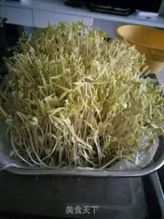 Make Auto green bean sprouts step 3