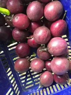 Make Bronco-fruit ribs step 1