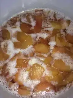 Make Plum yeast step 7