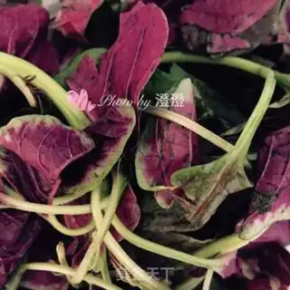 Make Garlic step 0