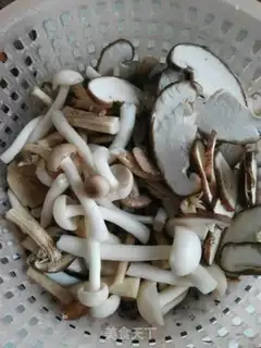 Make Skinfish step 5