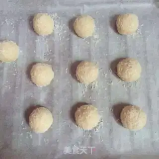 Make Protein coconut ball step 5