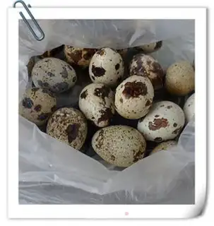 Make Souffle quail eggs step 0