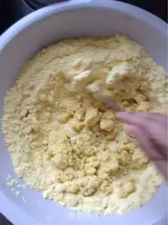 Make The nest step 1