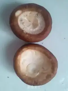Make Guests make mushrooms step 1