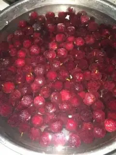 Make Yang Mei Chen yeast step 0