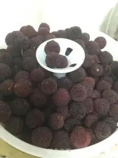 Make Yang Mei Chen yeast step 1