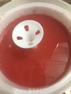 Make Yang Mei Chen yeast step 6