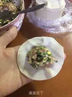 Make Fried dumplings step 0